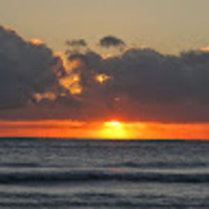 Meet your Posher, Shaindee